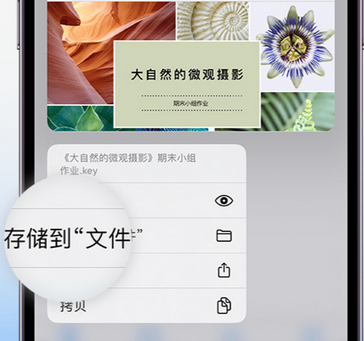 中山apple维修中心分享iPhone文件应用中存储和找到下载文件