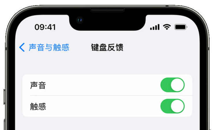 中山苹果手机维修分享iPhone 14触感键盘使用方法 