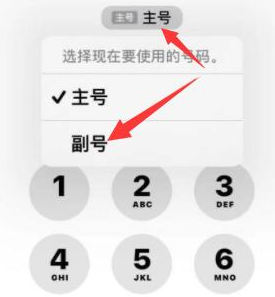 中山苹果14维修店分享iPhone 14 Pro Max使用副卡打电话的方法 