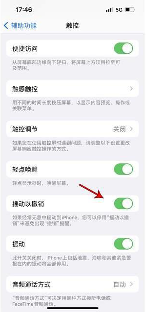 中山苹果手机维修分享iPhone手机如何设置摇一摇删除文字 